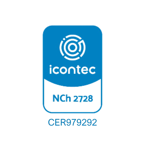 Logo actualizado 2025